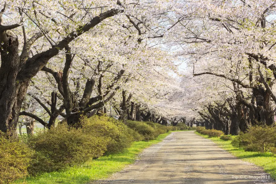 Noboribetsu Onsen Flower Tunnel