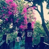 https://ak-d.tripcdn.com/images/100211000000rnr2n08C2.jpg