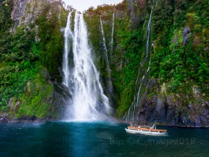 Milford Sound Scenic Cruises