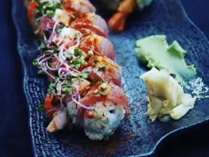 Tapashi Aarhus