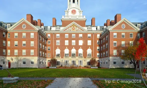 Università di Harvard