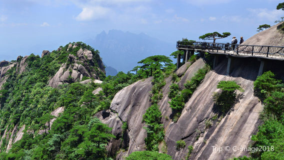 Yashan Flower Sea and Stone Forest