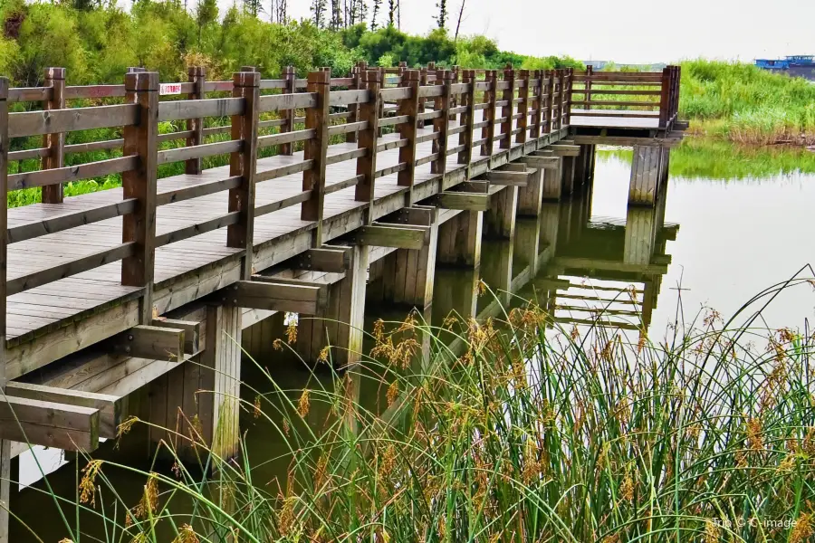 Wusong Cannon Bay Forest Wetland Park