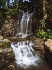 Lingyun Mountain Scenic Area