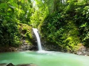 Catarata Uvita