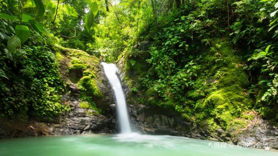 Catarata Uvita