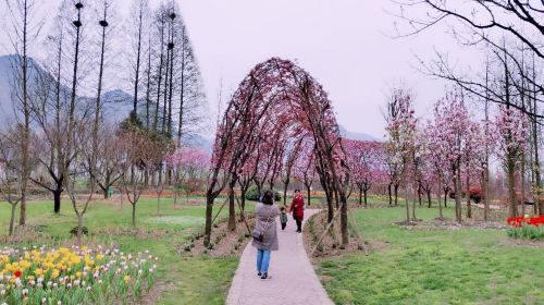 水湄花穀