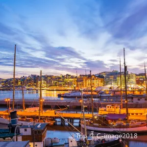 Oslo+Bergen+Alesund+Lom+Geiranger+Averoy+Hjerkinn 8-day, 7-night travel guide 2026: Discover top activities with an easy itinerary planner (updated July)