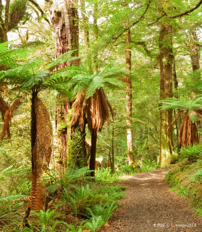 Ruatahuna