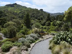 Otari-Wilton's Bush