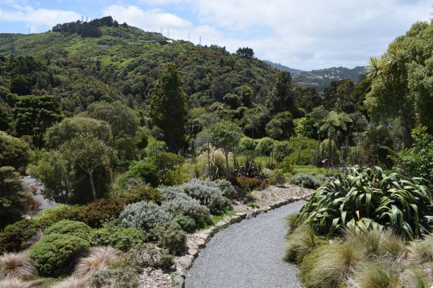 Otari-Wilton's Bush
