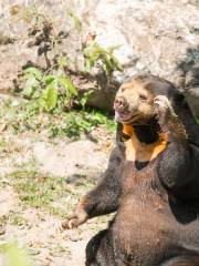 惠靈頓動物園