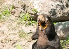 ウェリントン動物園