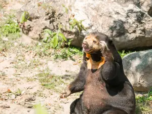 惠靈頓動物園