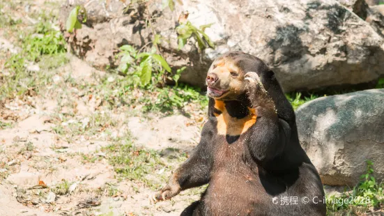 ウェリントン動物園