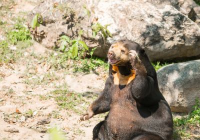 Zoo di Wellington