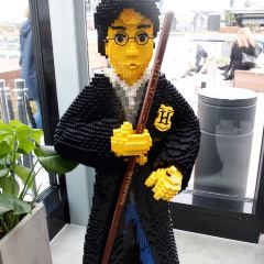 Salling張用戶圖片