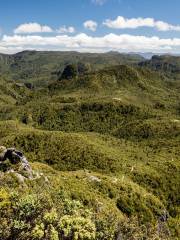 Pinnacles Track