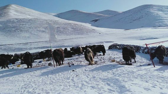 Guoluozhouqunzhong Art gallery