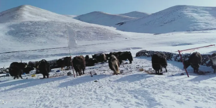 果洛州羣眾藝術館