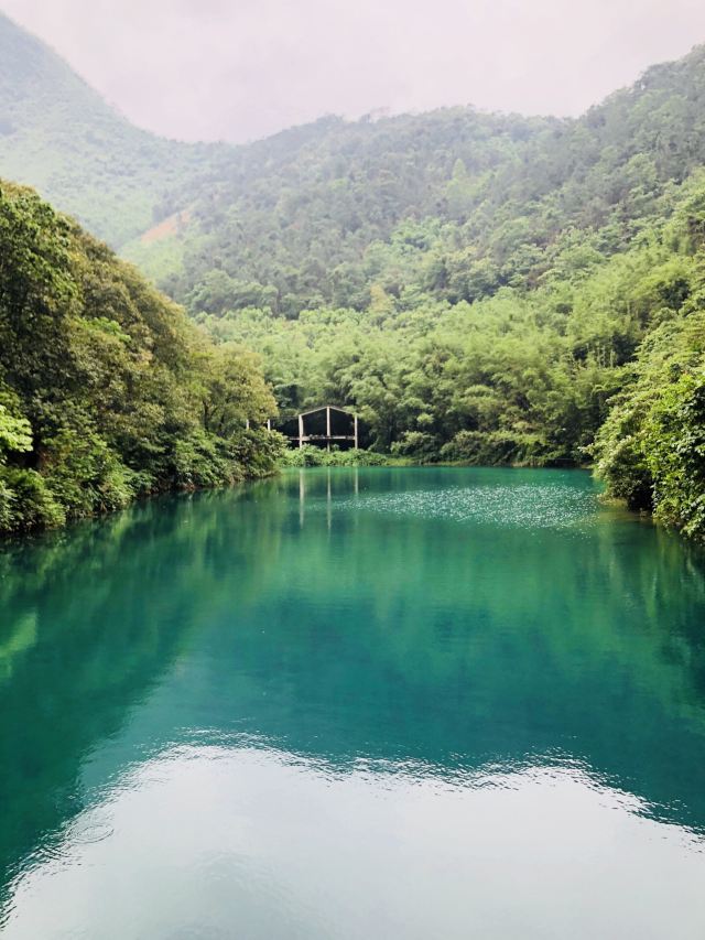Ziyungu