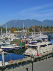 Sunnyside Marina