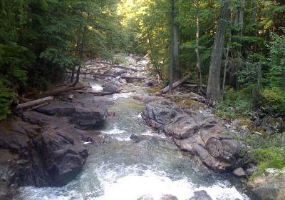 Wenatchee National Forest