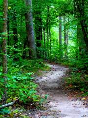 Kendall Trail