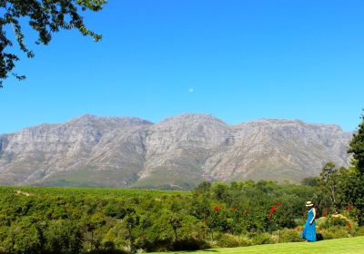 Stellenbosch