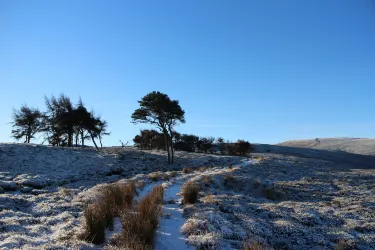 Pentland Hills Regional Park