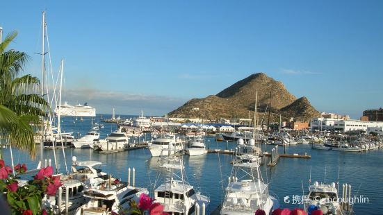Caliente Casino Reviews: Food & Drinks in Baja California Sur Cabo ...