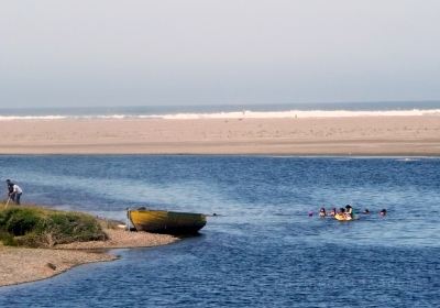 Oceano Dunes State Vehicular Recreation Area