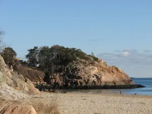 Singing Beach