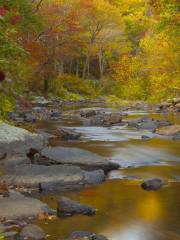 Elizabeth Furnace Recreational Area