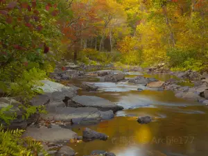 Elizabeth Furnace Recreational Area