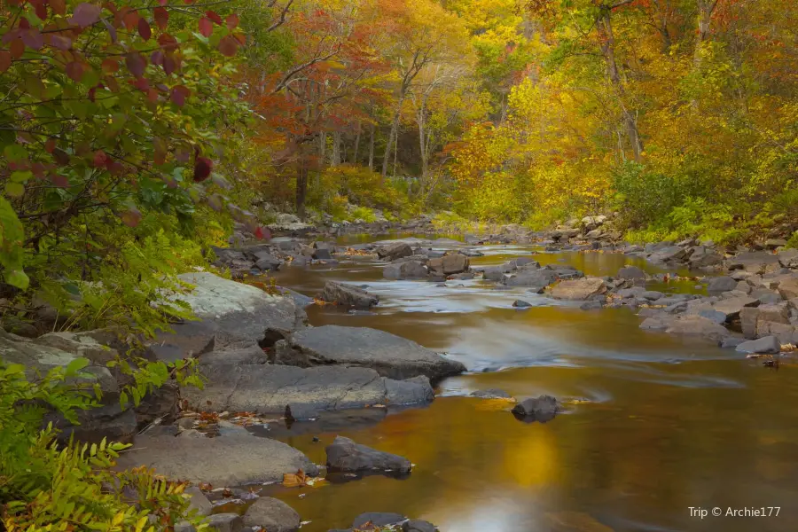 Elizabeth Furnace Recreational Area