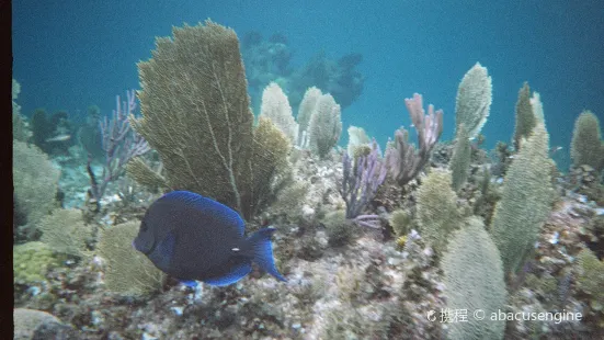 SNUBA Turks and Caicos