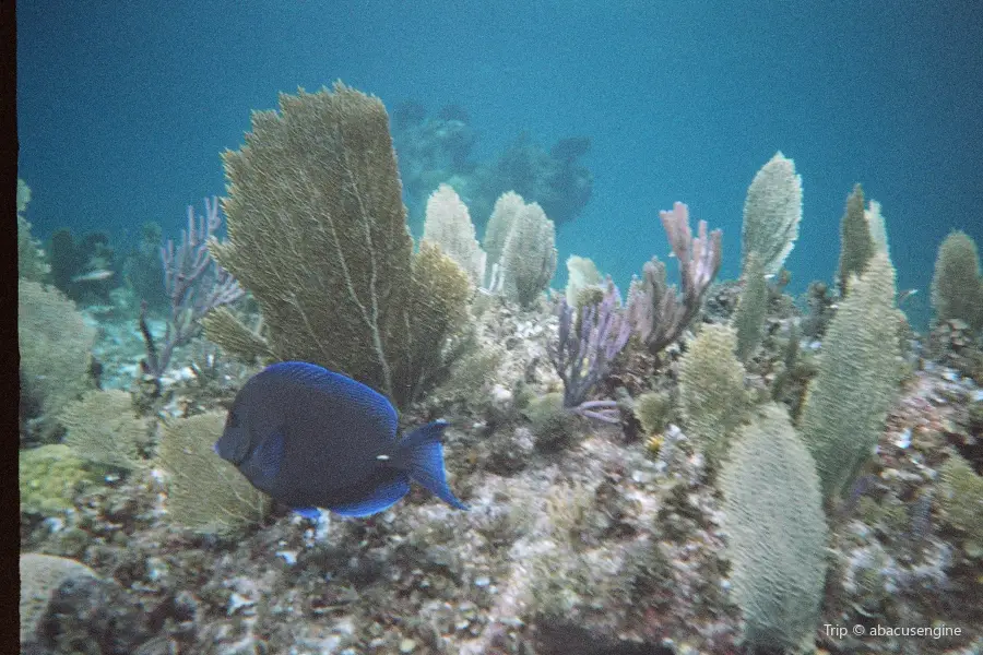 SNUBA Turks and Caicos