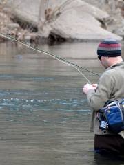 Grandfather Trout Farm