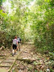 Gunung Gading National Park