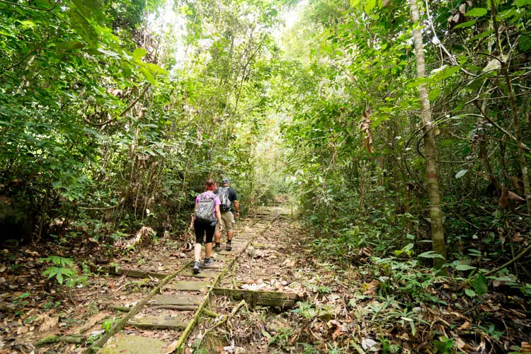 Parco nazionale di Gunung Gading