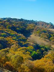 Mount Diablo State Park