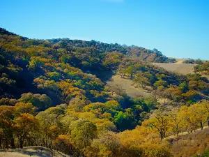 Mount Diablo State Park