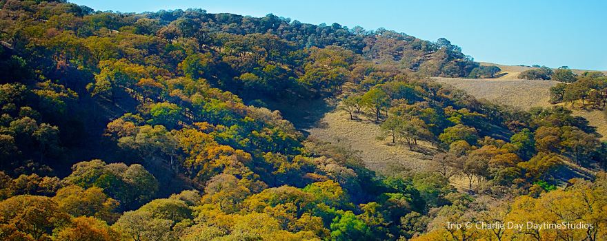 Mount Diablo State Park