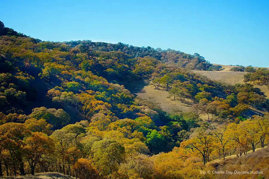 Mount Diablo State Park