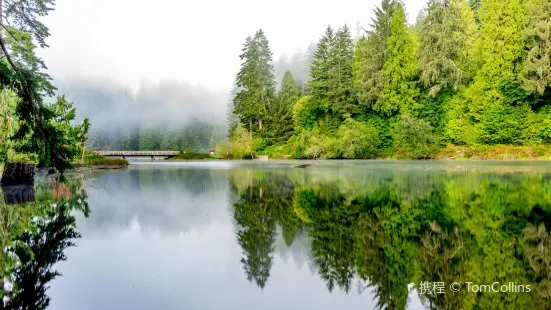 Lake Sylvia State Park