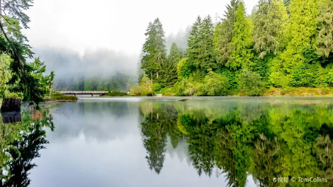 Hotels near Lake Sylvia State Park