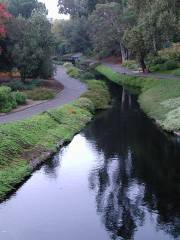 UC Davis Arboretum Teaching Nursery