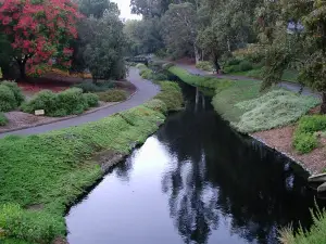 UC Davis Arboretum Teaching Nursery