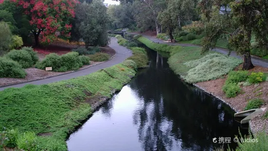 UC Davis Arboretum